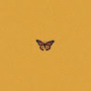 Meet your Posher, Bridget